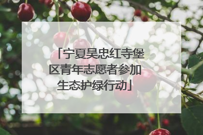 宁夏吴忠红寺堡区青年志愿者参加生态护绿行动