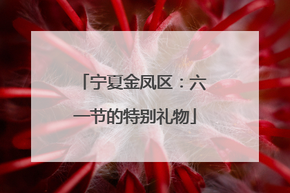宁夏金凤区：六一节的特别礼物