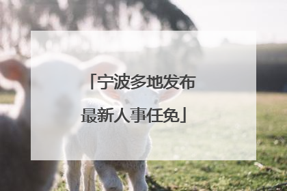 宁波多地发布最新人事任免