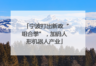 宁波打出新政“组合拳”，加码人形机器人产业