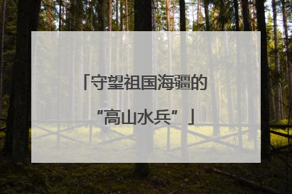 守望祖国海疆的“高山水兵”