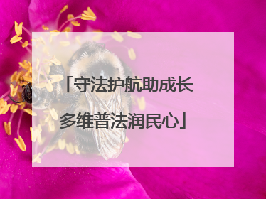 守法护航助成长 多维普法润民心