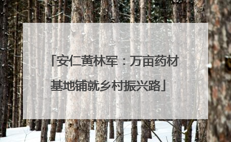 安仁黄林军：万亩药材基地铺就乡村振兴路
