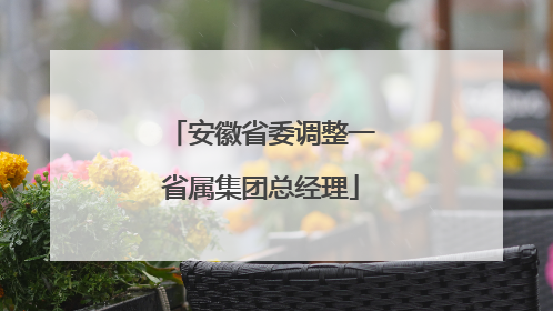 安徽省委调整一省属集团总经理