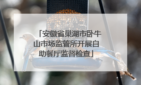 安徽省巢湖市卧牛山市场监管所开展自助餐厅监督检查