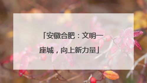 安徽合肥：文明一座城，向上新力量
