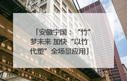 安徽宁国：“竹”梦未来 加快“以竹代塑”全场景应用