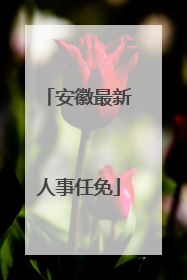 安徽最新人事任免
