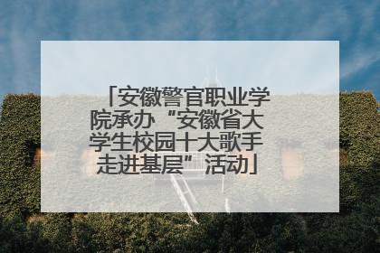 安徽警官职业学院承办“安徽省大学生校园十大歌手走进基层”活动