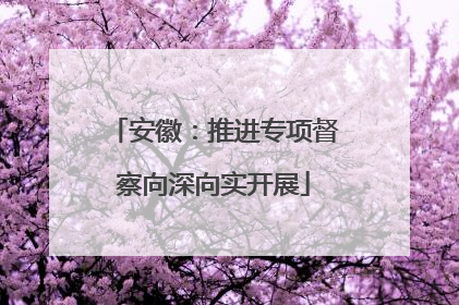 安徽：推进专项督察向深向实开展