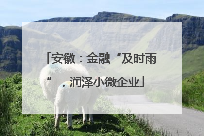 安徽：金融“及时雨”，润泽小微企业