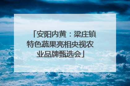 安阳内黄：梁庄镇特色蔬果亮相央视农业品牌甄选会