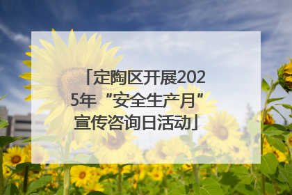定陶区开展2025年“安全生产月”宣传咨询日活动
