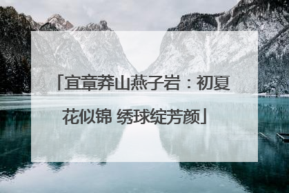 宜章莽山燕子岩：初夏花似锦 绣球绽芳颜