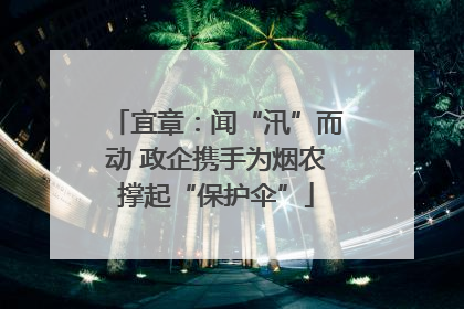 宜章：闻“汛”而动 政企携手为烟农撑起“保护伞”