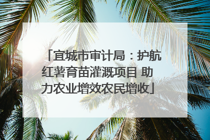 宜城市审计局：护航红薯育苗灌溉项目 助力农业增效农民增收