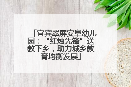 宜宾翠屏安阜幼儿园：“红烛先锋”送教下乡，助力城乡教育均衡发展