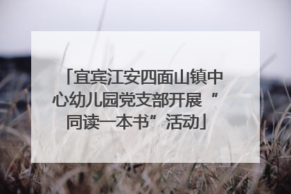 宜宾江安四面山镇中心幼儿园党支部开展“同读一本书”活动