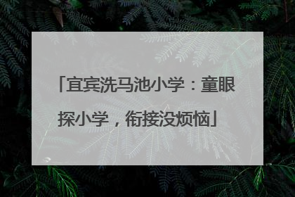 宜宾洗马池小学：童眼探小学，衔接没烦恼