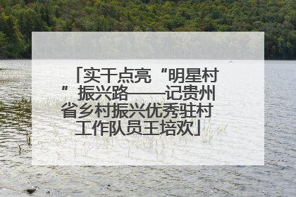 实干点亮“明星村”振兴路——记贵州省乡村振兴优秀驻村工作队员王培欢