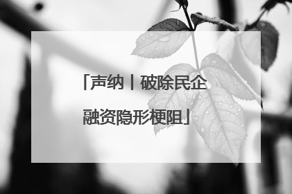 声纳丨破除民企融资隐形梗阻