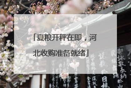 夏粮开秤在即，河北收购准备就绪