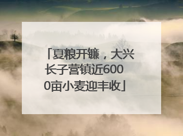 夏粮开镰，大兴长子营镇近6000亩小麦迎丰收