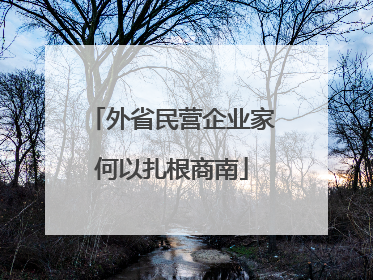 外省民营企业家何以扎根商南
