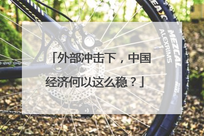 外部冲击下，中国经济何以这么稳？