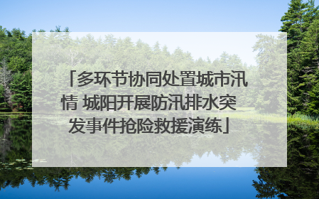 多环节协同处置城市汛情 城阳开展防汛排水突发事件抢险救援演练