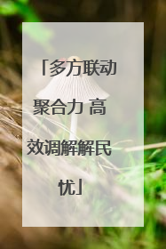 多方联动聚合力 高效调解解民忧