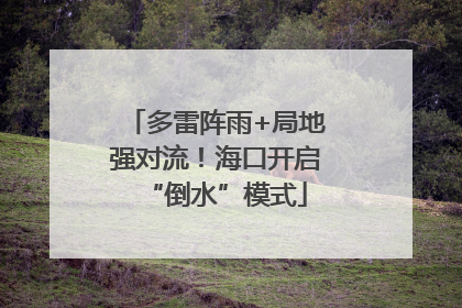 多雷阵雨+局地强对流！海口开启“倒水”模式