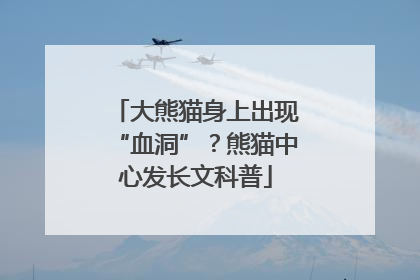 大熊猫身上出现“血洞”？熊猫中心发长文科普