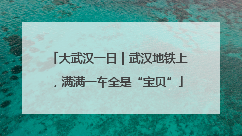 大武汉一日｜武汉地铁上，满满一车全是“宝贝”