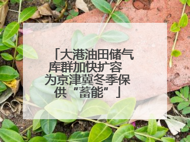 大港油田储气库群加快扩容 为京津冀冬季保供“蓄能”