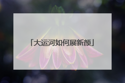大运河如何展新颜