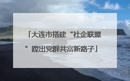 大连市搭建“社企联盟”蹚出党群共富新路子