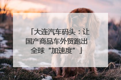 大连汽车码头：让国产商品车外贸跑出全球“加速度”