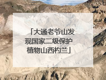 大通老爷山发现国家二级保护植物山西杓兰