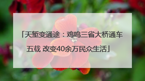 天堑变通途：鸡鸣三省大桥通车五载 改变40余万民众生活