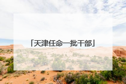 天津任命一批干部