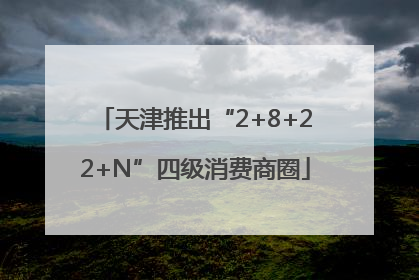 天津推出“2+8+22+N”四级消费商圈