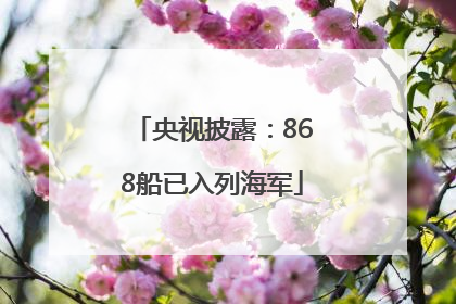 央视披露：868船已入列海军