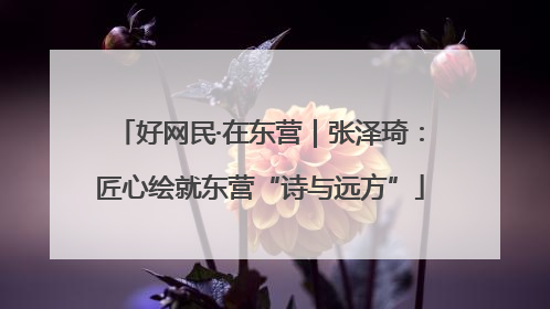 好网民·在东营｜张泽琦：匠心绘就东营“诗与远方”