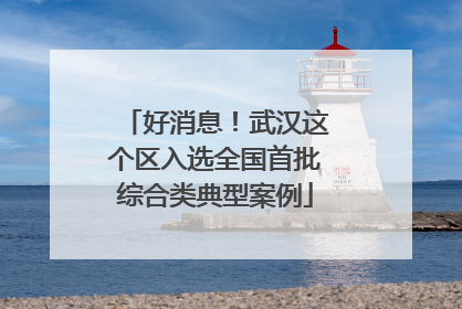 好消息！武汉这个区入选全国首批综合类典型案例