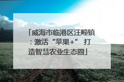 威海市临港区汪疃镇：激活“苹果+” 打造智慧农业生态圈