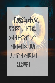 威海市文登区：打造对非合作产业园区 助力企业抱团出海