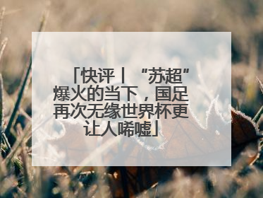 快评丨“苏超”爆火的当下，国足再次无缘世界杯更让人唏嘘