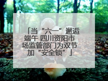 当“六一”邂逅端午 四川资阳市场监管部门为双节加“安全锁”