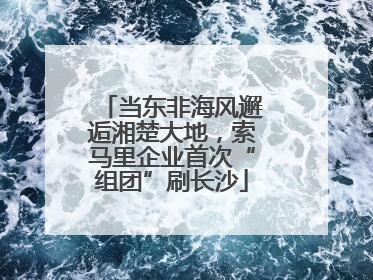 当东非海风邂逅湘楚大地，索马里企业首次“组团”刷长沙